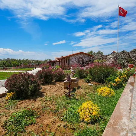 Yesil Inci Séjour chez l'habitant Ayvalı